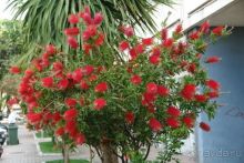 Вполне приемлемо по качеству и ценам.