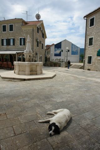 Вполне приемлемо по качеству и ценам.