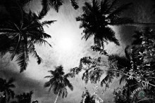 Sun Island Resort &amp; Spa 4*