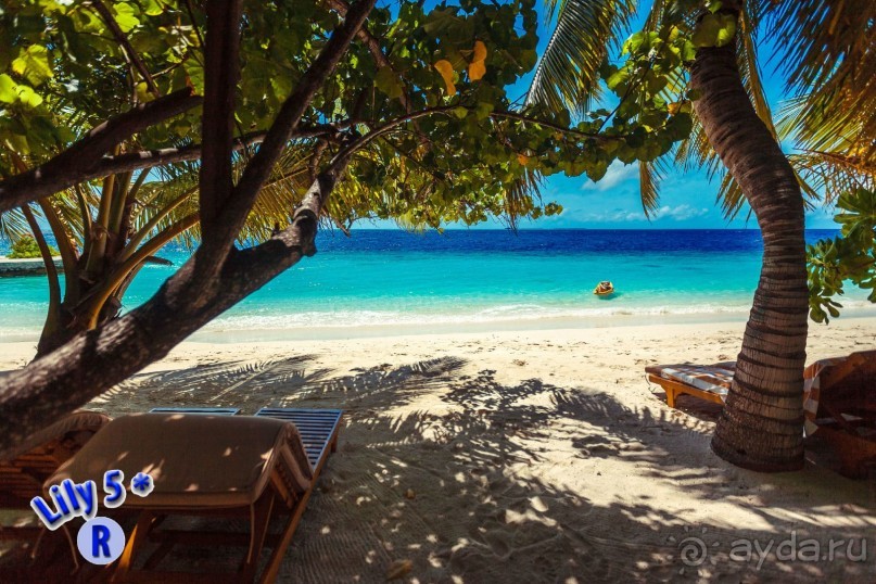 Эти фотки нашёл на флешке, любезно презентованной в Lily Beach Resort &amp; Spa 5*