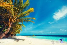 Эти фотки нашёл на флешке, любезно презентованной в Lily Beach Resort &amp; Spa 5*