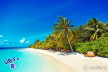 Эти фотки нашёл на флешке, любезно презентованной в Lily Beach Resort &amp; Spa 5*