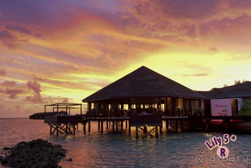 Эти фотки нашёл на флешке, любезно презентованной в Lily Beach Resort &amp; Spa 5*