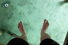 Альбом отзыва "Худший отдых в моей жизни!"