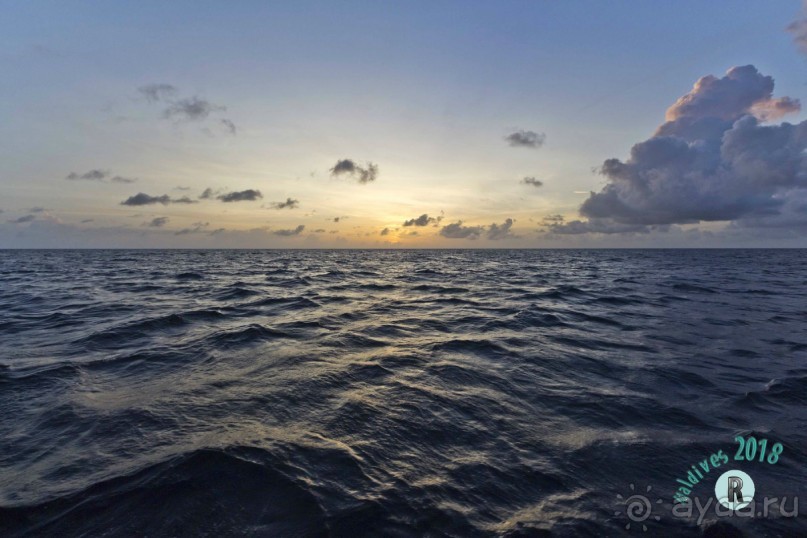 Lily Beach Resort &amp; Spa 5*
Экскурсия "Рассвет с дельфинами"