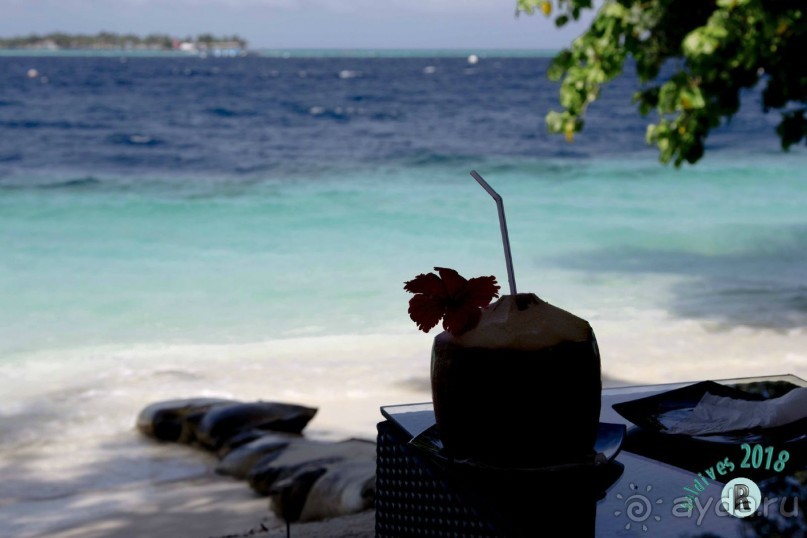 Кокосами встречали в Vilamendhoo Island Resort &amp; Spa 4*