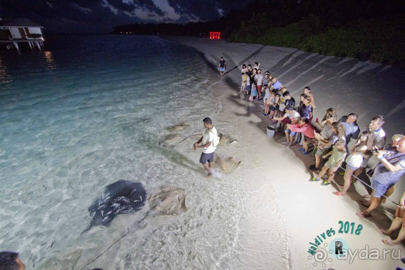 Sun Island Resort &amp; Spa 4*