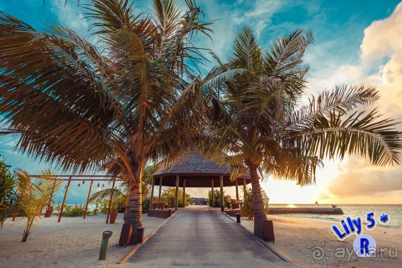 Эти фотки нашёл на флешке, любезно презентованной в Lily Beach Resort &amp; Spa 5*