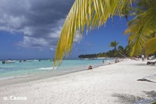 Доминикака