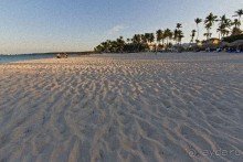 Доминикака