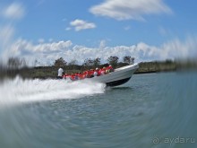 Доминикака