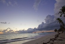 Доминикака