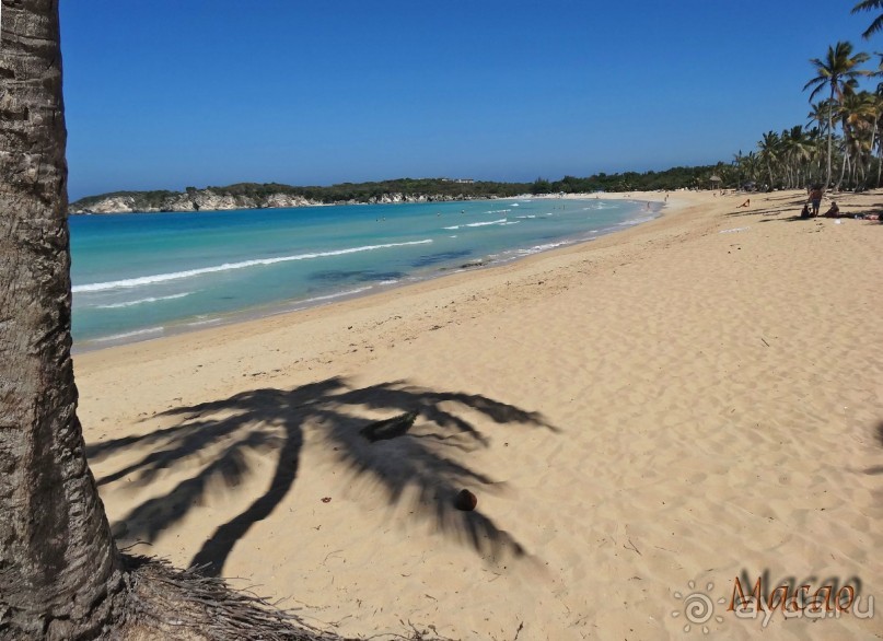 Доминикака