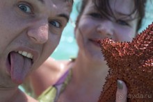 Альбом отзыва "Доминикака"