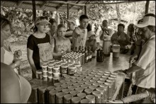 Доминикака