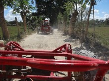 Доминикака