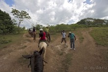 Доминикака