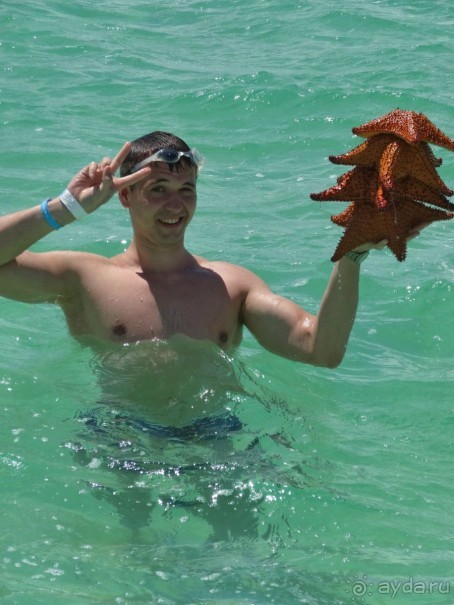 Доминикака