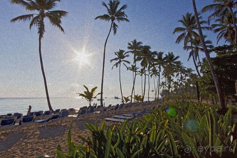 Доминикака