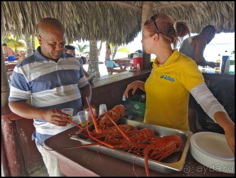 Доминикака