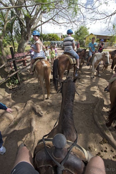 Доминикака