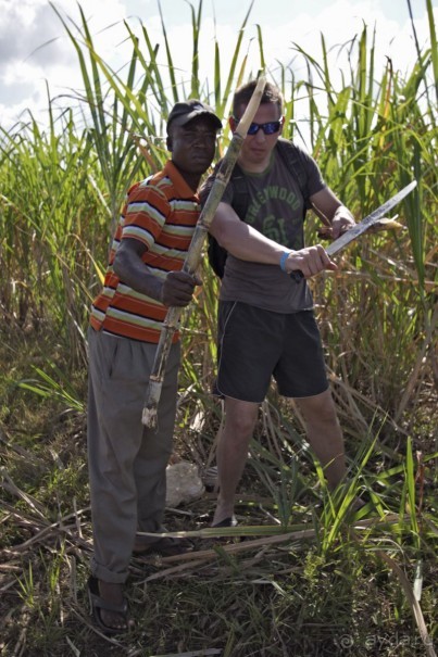 Доминикака