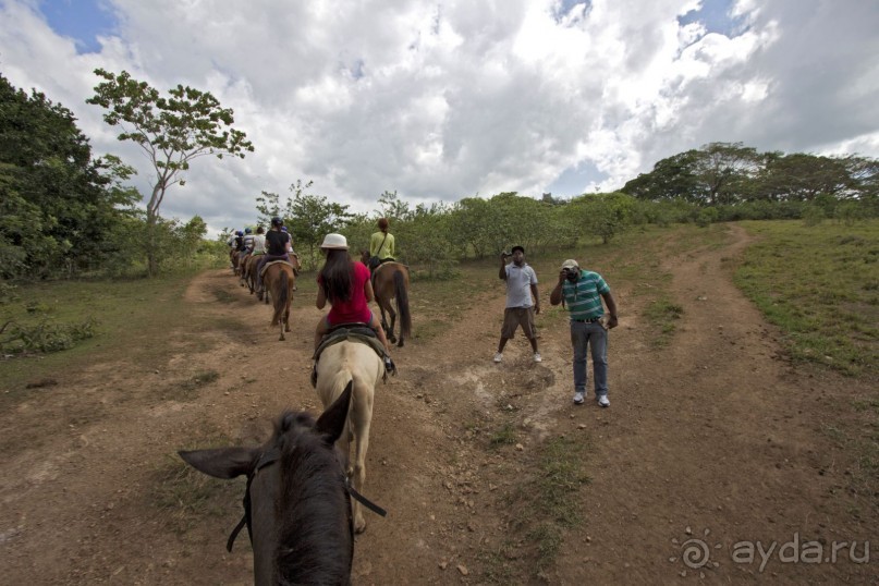 Доминикака