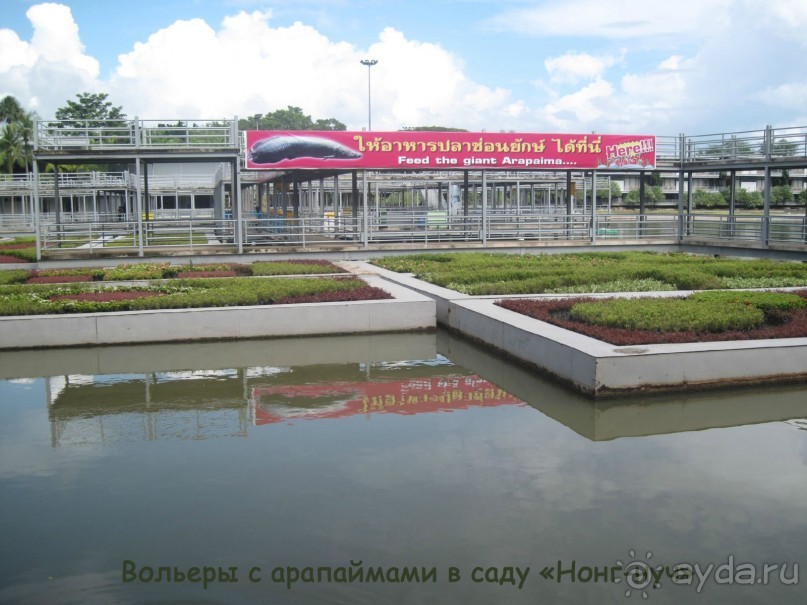 Незабываемый прыжок.