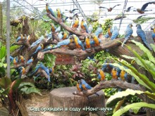 Незабываемый прыжок.