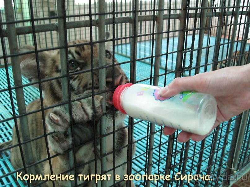 Незабываемый прыжок.