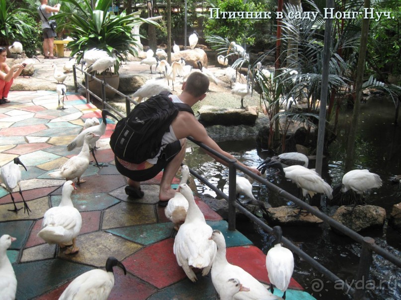 Незабываемый прыжок.