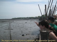 Незабываемый прыжок.