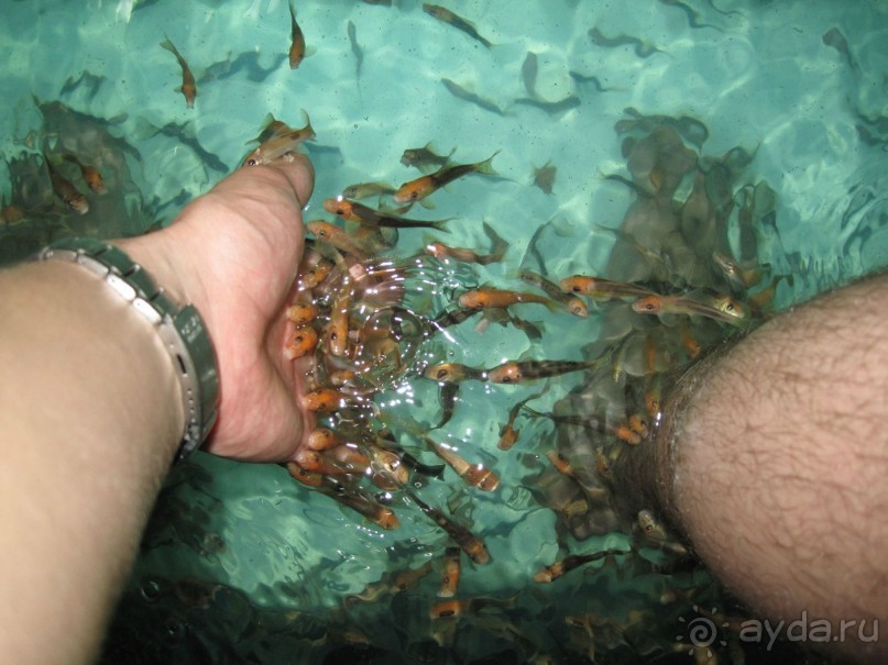 Незабываемый прыжок.