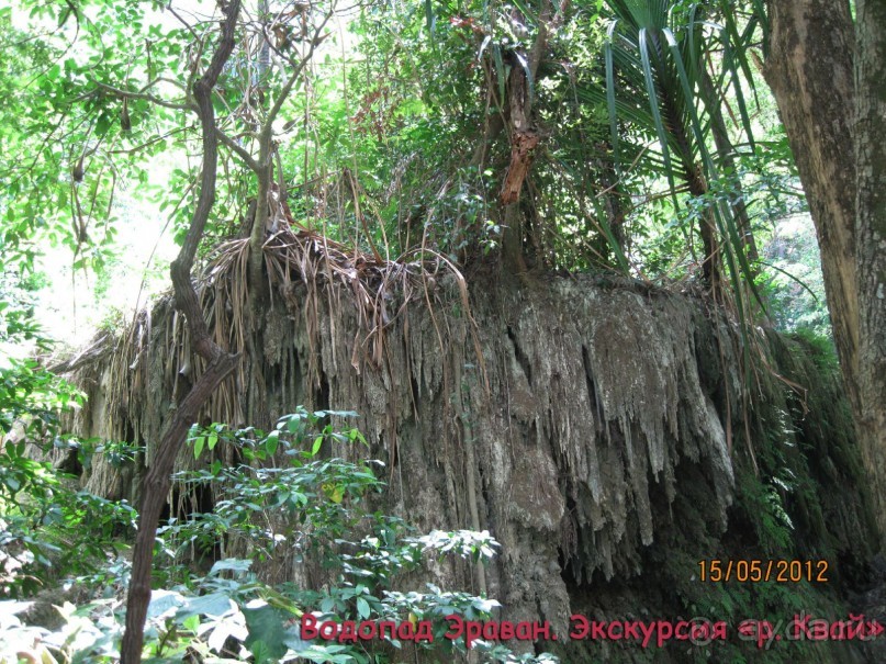 Незабываемый прыжок.