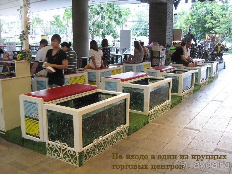 Незабываемый прыжок.