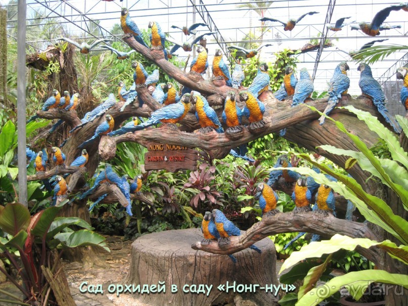 Незабываемый прыжок.