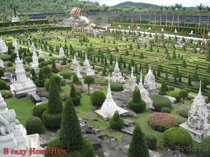 Незабываемый прыжок.