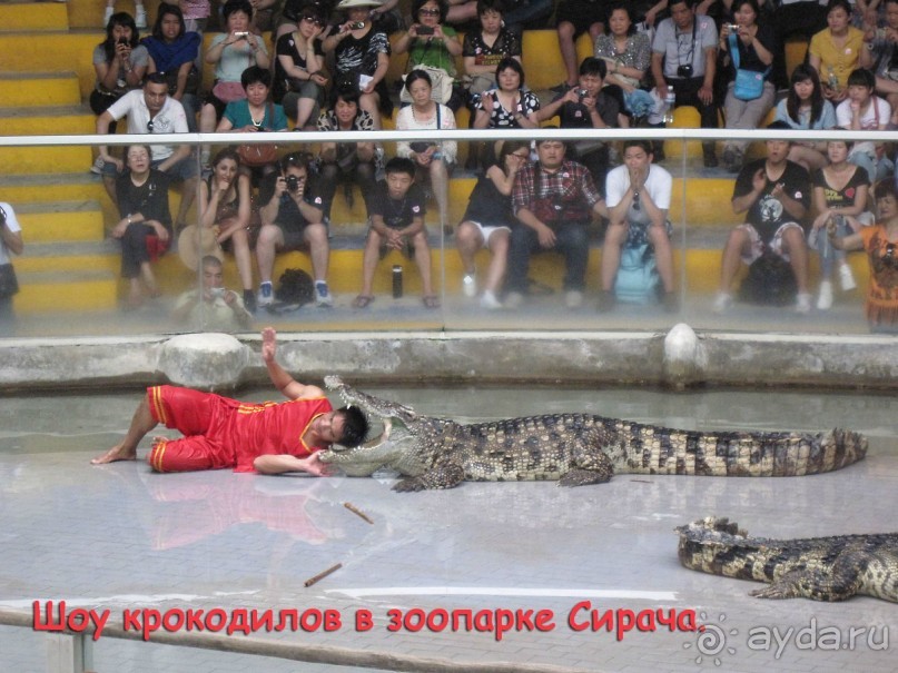 Незабываемый прыжок.