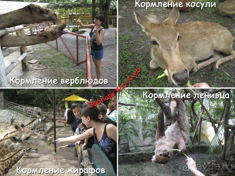 Незабываемый прыжок.