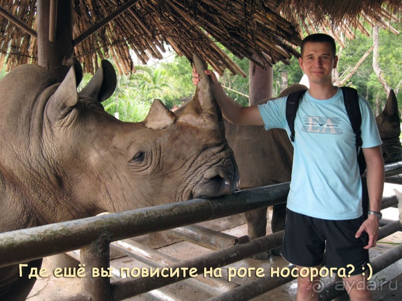 Незабываемый прыжок.