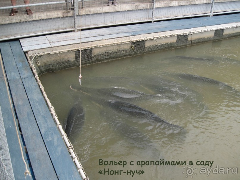 Незабываемый прыжок.