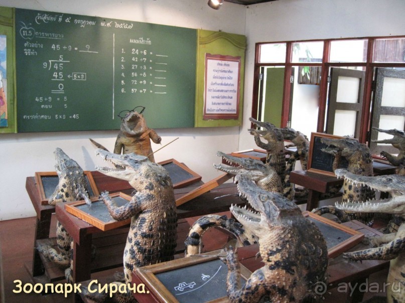 Незабываемый прыжок.