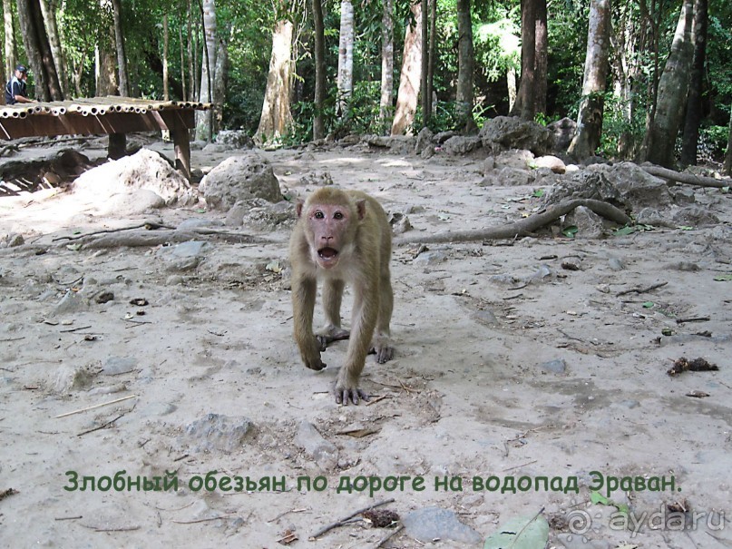 Незабываемый прыжок.