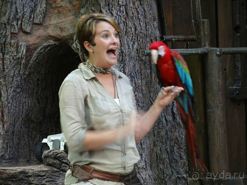 Место, куда не хочется возвращаться.