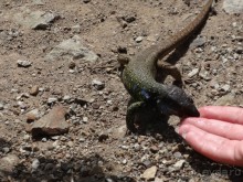 Место, куда не хочется возвращаться.