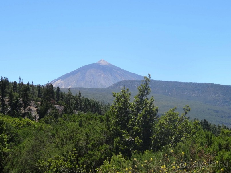 Место, куда не хочется возвращаться.