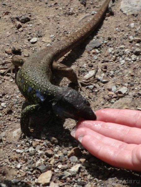 Место, куда не хочется возвращаться.