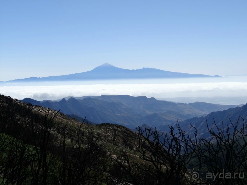 Место, куда не хочется возвращаться.