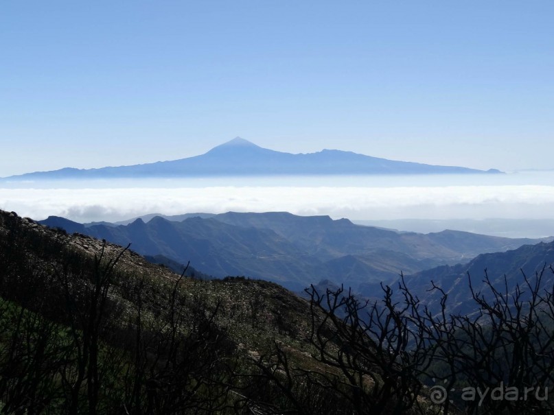 Место, куда не хочется возвращаться.