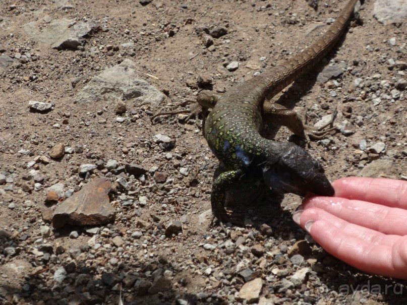 Место, куда не хочется возвращаться.